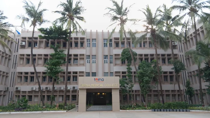 terna medical college management quota fees
